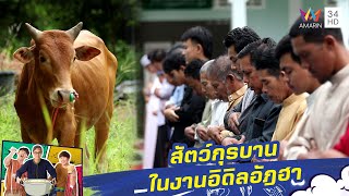 สัตว์กุรบาน ในงานอิดิลอัฎฮา | กินไปทั่วมั่วบ้านงาน