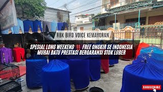 GILA❗❗WEEKEND PANJANG HARGA MURAI PRESTASI DI RBK KEMAYORAN SEGINI? SPESIALIS MURAI BATU PRESTASI