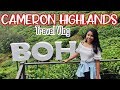 Cameron Highlands Malaysia | Cameron Highlands Flora Park Butterfly Farm | BOH Tea Plantation