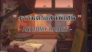 ANATOMY RABBIT - ธรรมดาแสนพิเศษ | Extraordinary