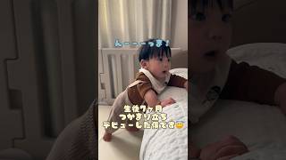 【生後7ヶ月】つかまり立ちで気合い十分！ #shortsvideo #shortvideo #男の子ベビー #赤ちゃん #男の子ママ #赤ちゃんのいる生活 #baby #おもしろ動画 #赤ちゃん動画