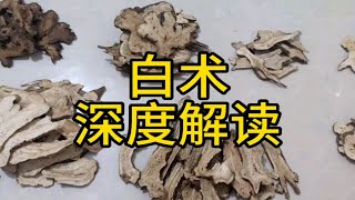 白术 深度解读  教你一些你能用到的知识（上）