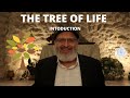 Kabbalah Basics |The Tree of Life | Introduction