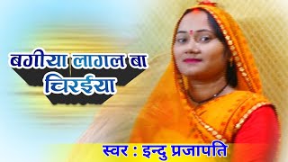 बगीया लागल चिरईया  उड़ा द ननदी- New Awadhi Song - Indu Prajapati Letest Song