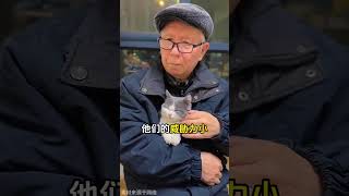 猫为什么不攻击老人和小孩，它是尊老爱幼吗？ #猫咪知识 #猫咪攻击人 #宠物知识