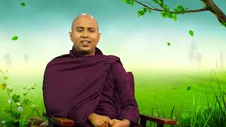 ධර්ම දේශනා - 30 (චුල්ල පන්ථක හාමුදුරුවෝ )  (VENERABLE WALGAMA SUMANA THERO)