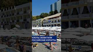 Массовая атака клопов на российских курортах #новости #россия #курорт #топ #shorts