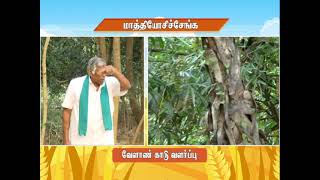 Pon Vilaiyum Bhoomi (10.03.2021) Successful  Farmer Story: