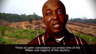 Clip 1: Palm oil Plantations and Deforestation. An alarming situation in Liberia (1:30 minutes).