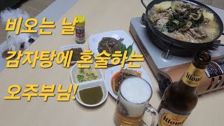 비오는 날 감자탕에 혼술하는 오주부님!