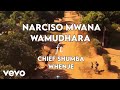 Chief Shumba Hwenje - Ndiri Muhondo (Official Video) ft. Narciso Mwana WaMudhara