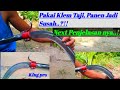 review, klem taji buah sawit pada palm king pro