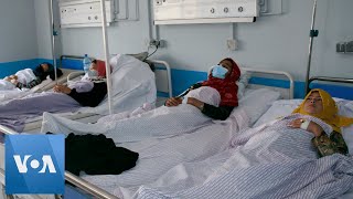 Poisoned Afghan Schoolgirls Treated in Hospital | VOA News