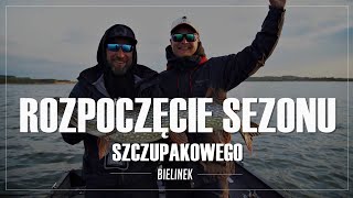 Rozpoczęcie Sezonu Szczupakowego - Bielinek - Szczupak 120cm I BullTeez I ZanderTeez I ShadTeez