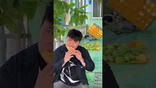 Bánh mì ngon cỡ này #duchoavlog #food #shorts #windnet