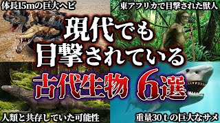 【ゆっくり解説】実は絶滅していなかった？！　目撃されていてる古代生物　６選