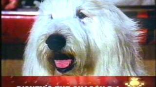 Scottish TV Junction - Monday December 19th 1994