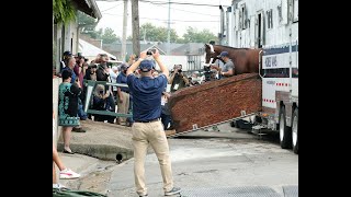 Kentucky Derby favorite Tiz the Law arrives at Churchill Downs