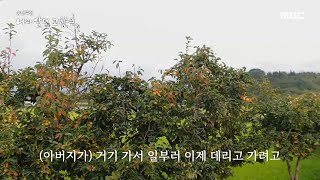 [다큐플렉스] 할아버지가 기억하는 아버지와 과수원의 추억, MBC 221224 방송