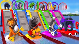 Choose Right Slider Cage Mystery Key Challenge with Cow Mammoth Gorilla Wild Animals Crossing Game