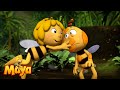 Willy is back - Maya the bee🍯🐝🍯