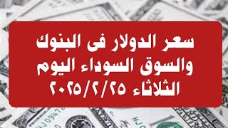 سعر الدولار فى البنوك والسوق السوداء اليوم الثلاثاء ٢٥ فبراير ٢٠٢٥