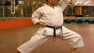 الحركات الاساسية في الكاراتيه Karate Basic Movements