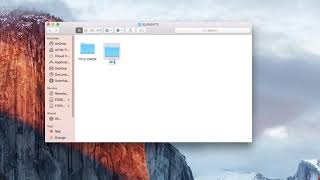 File Organization in Premiere