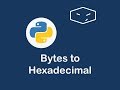 bytes to hexadecimal in python 😀