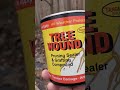 How to graft fruit trees, apples, pawpaw, cherry scions easy with Drill and scions fruits #shorts