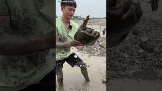 這個沒有10斤也有8斤，至少值1000塊 #熱門#viralvideo #fishing #抓魚