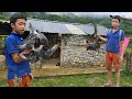 Orphan Boy: Making Bamboo Traps to Catch Big Birds - Eating a Delicious Meal - Independent Life.