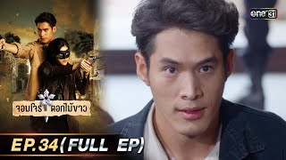 จอมโจรดอกไม้ขาว | Ep.34 (Full Ep) | 8 ก.ย. 66 | ประเทศไทยรับชมได้ทาง oneD