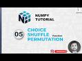 5.  Randomize NumPy Arrays (Choice, Shuffle, Permutation)