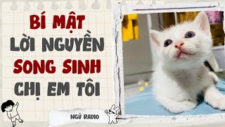 [Audio Full] Bí Mật Lời Nguyền Song Sinh Chị Em Tôi | Ngủ Radio
