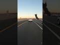 Motorcycle Helmet Visor SAVES Raider from Crashing on Freeway 🏍️ Instagram a2hartsock #motorcycle