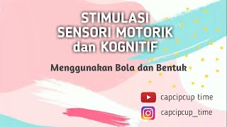 Stimulasi Sensori Motorik dan Kognitif Menggunakan Bola dan Bentuk