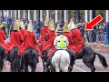 NERVES OF STEEL: POWERFUL HORSE DARTS OUT SUDDENLY DURING GUARD CHANGE!