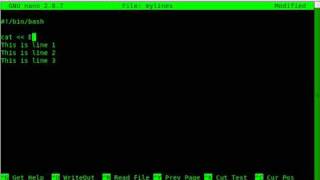 BASH Print Multiple Lines