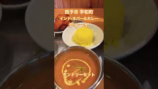 愛媛県 西予市 宇和町 インドカレー・ネパールカレー ディーヤ