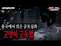 【무서운이야기 실화】 진짜..미쳤네요 레전드 중국에서 겪은 고양이 고독법..실화ㅣ김냥이님 사연ㅣ돌비공포라디오ㅣ괴담ㅣ미스테리 인터뷰ㅣ시청자 사연ㅣ공포툰ㅣ오싹툰