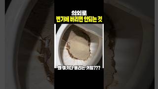 변기에 프로틴 버린 사람의 최후