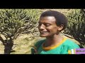 new tigrigna film metsibia part 2 መፅብዓ ፊልም ትግርኛ ካልኣይ ክፋል january 2020