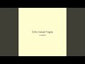 Echo Velvet Fragile