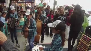 UN PUÑO DE TIERRA LAS BÁRBARAS DEL NORTE