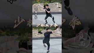 少林五步拳,五步拳正反面详细动作都在这了，记得点赞收藏! #中国功夫话题# #弘扬中华传统文化话题#