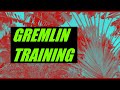 Invitation to Gremlin Transformation with Devin Gleeson and Brianne Vaillancourt