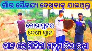 ଗାଁର ସୈନ୍ଦଯ୍ୟ ଦେଖିବାକୁ ଯାଇଥିଲୁ ମିଳିଳା ମହୁଁର ଛତା ‌।ଦେଶୀ ଗାଁର ବ୍ଳଗ ବିଡ଼ିଓ।koraput desi seen vlog video