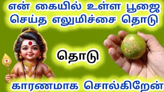 காரணமாக சொல்கிறேன் என் கையில் உள்ள பூஜை செய்த எலுமிச்சை தொடு 🌟 நான் உன் முருகன் murugan quotes