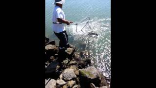 Salmon fishing in Benicia